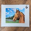 8 x 10 Matted Horse Painting