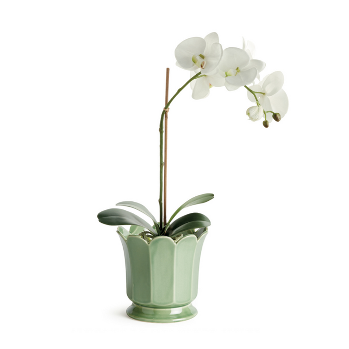 Ascot Celery Green Ceramic Pot with drop in faux white orchid
