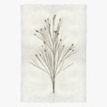 Bell Reed Form Print