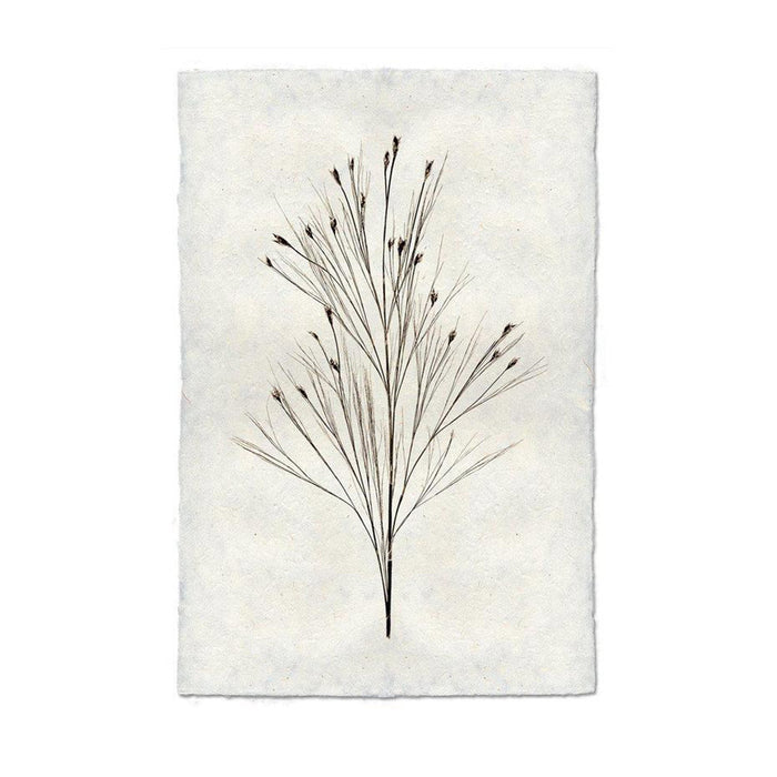Bell Reed Form Print