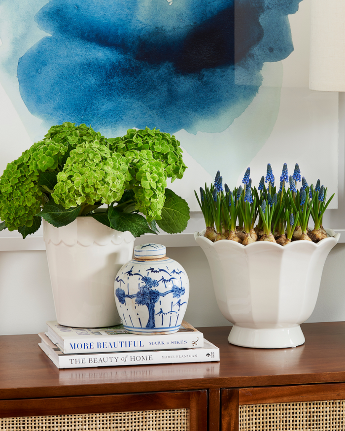 Meadows Fluted Large Cachepot with muscari bulbs