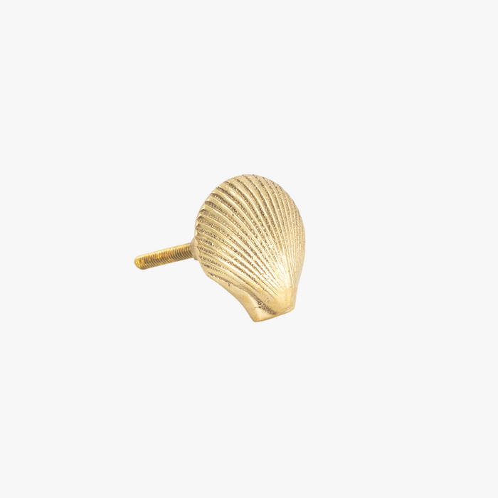 Brass Shell Knob