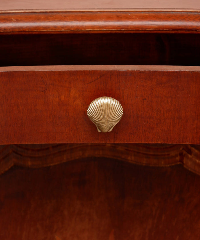 Solid Recycled Brass Scallop Shell Knob