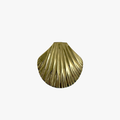 Brass Shell Lidded Box