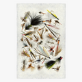 Collected Fishing Flies Print