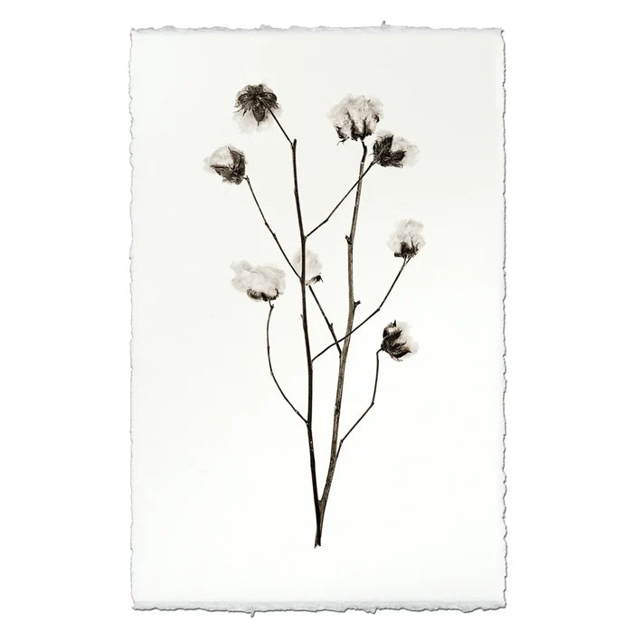 Cotton Botanical Print on English Watercolor paper