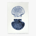 Double Shell Print