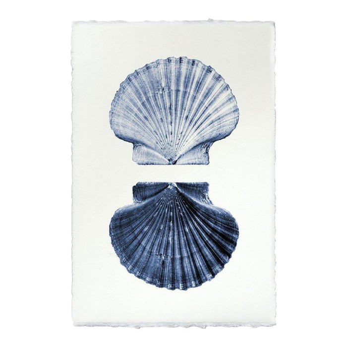 Double Shell Print From Dear Keaton