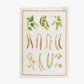 Fagioli Tea Towel