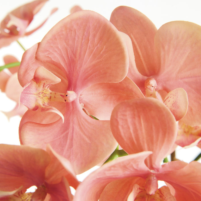 Faux Coral Orchid Blooms