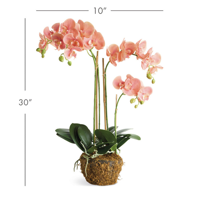 Faux Coral Phalaenopsis Orchid 30" Drop-In dimensions