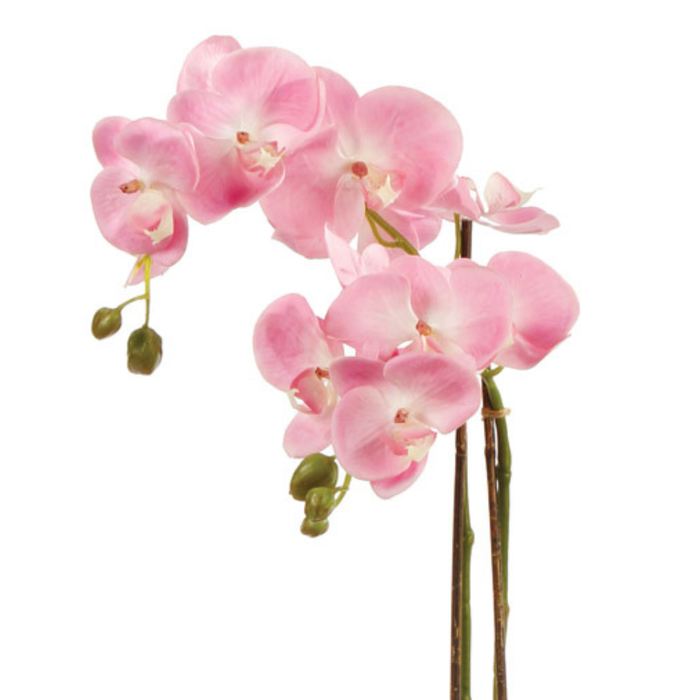 Faux Pink Phalaenopsis Orchid petal closeup