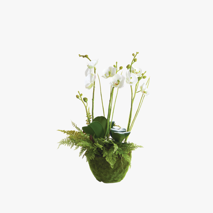 Faux White Orchid and Fern 18" Drop-In