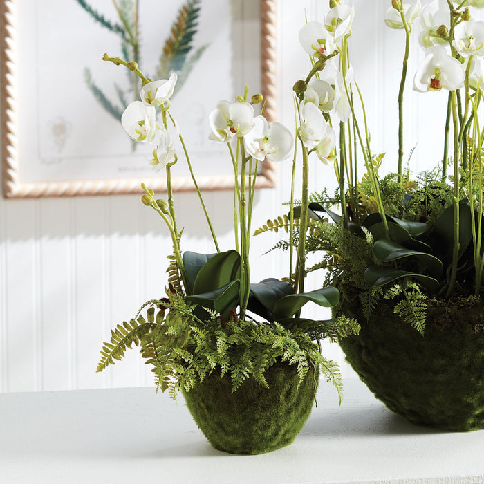 Faux White Orchid and Fern 18" Drop-Ins styled