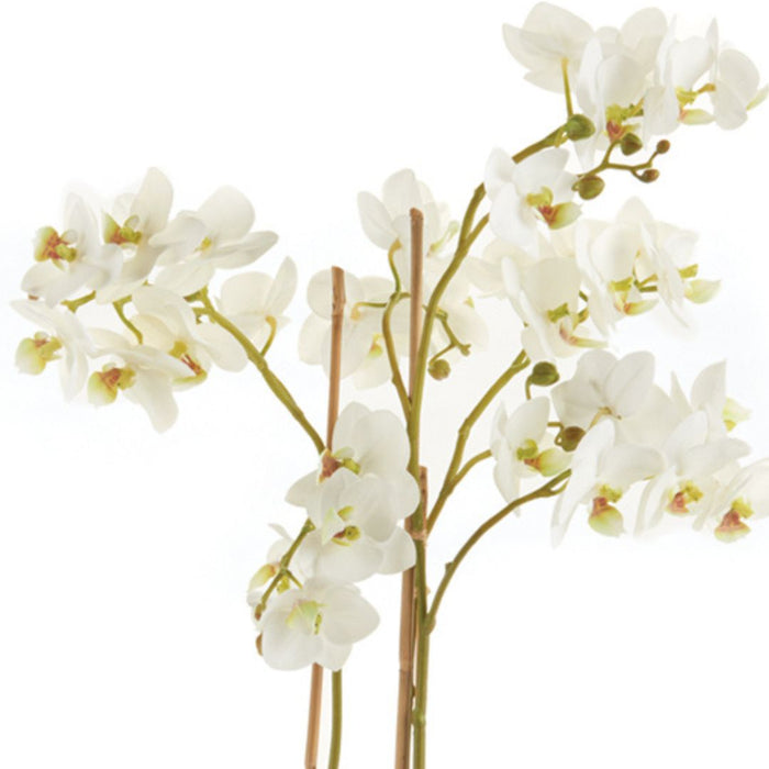 Faux White Phalaenopsis Orchid petal closeup