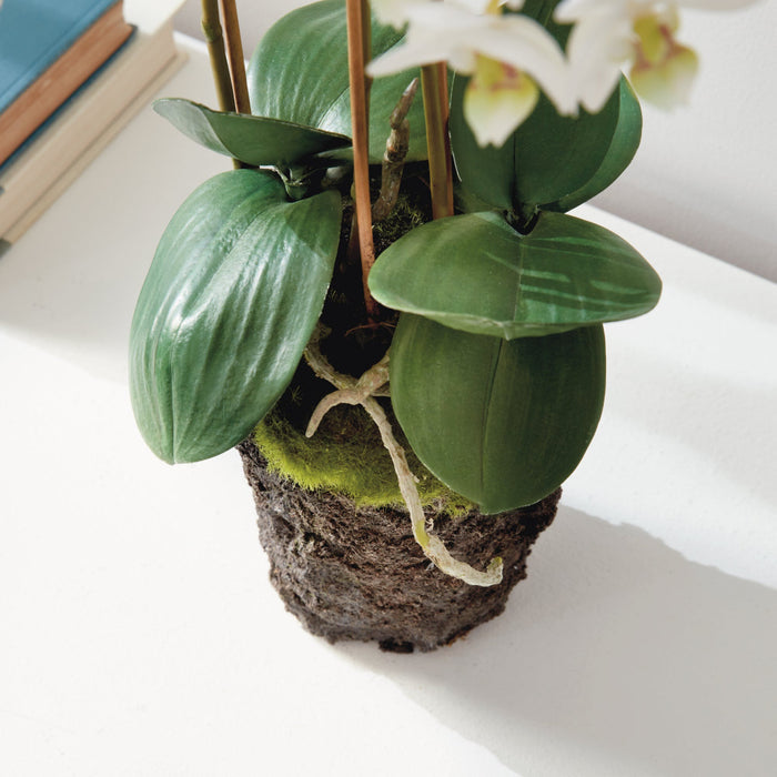 Faux White Phalaenopsis Orchid leaves