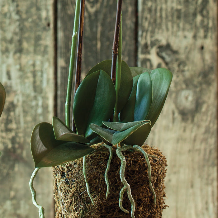 Faux White Phalaenopsis Orchid Drop-In leaf closeup