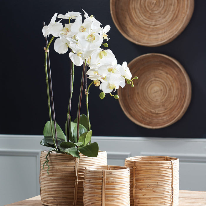 Faux White Phalaenopsis Orchid 30" Drop-In  styled in rattan pot