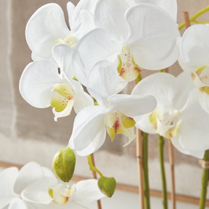 Faux White Phalaenopsis Orchid petal closeup