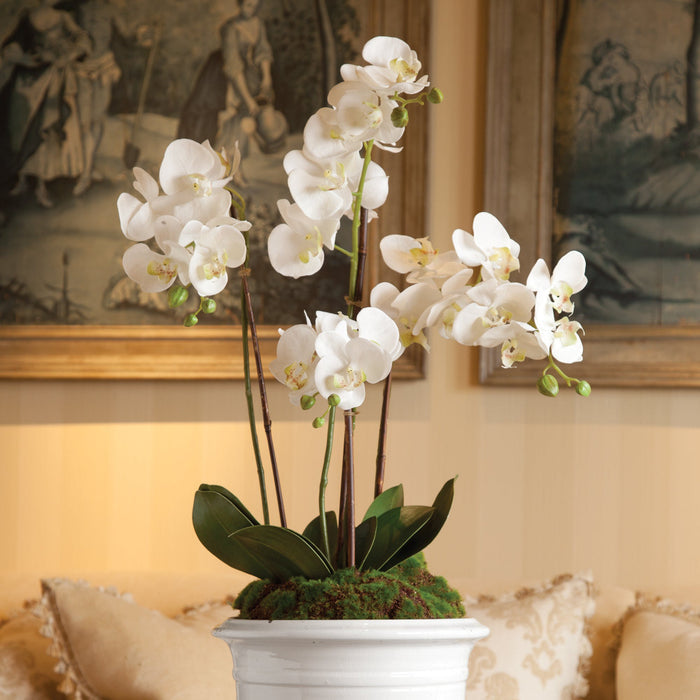 Faux White Phalaenopsis Orchid styled in white pot