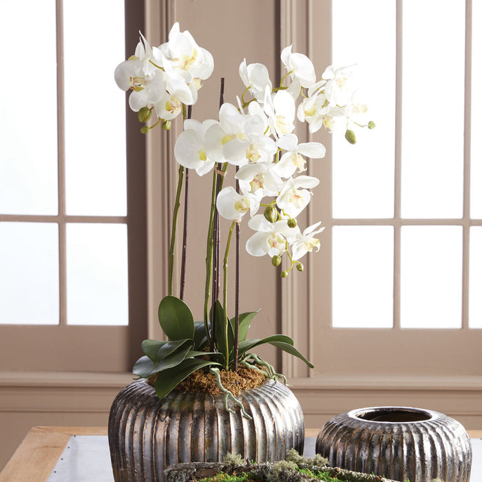 Faux White Phalaenopsis Orchid styled in front of windows