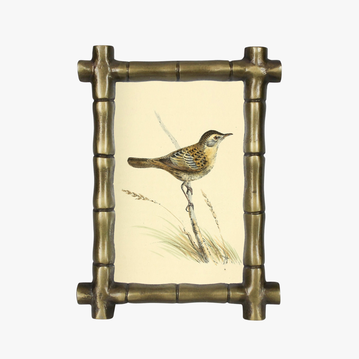 Fields Bamboo Frame