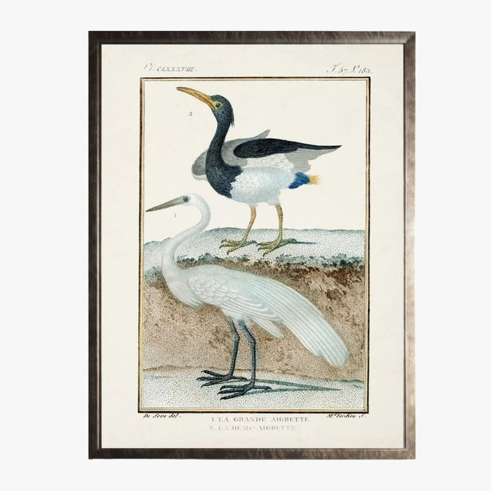 Framed Shorebirds II Bookplate Print