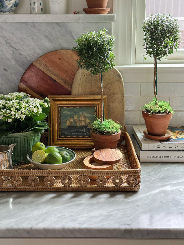 Sperm Whale framed coastal art styled in Menton basket