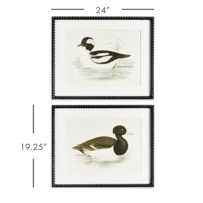 Framed Wading Duck Print dimensions