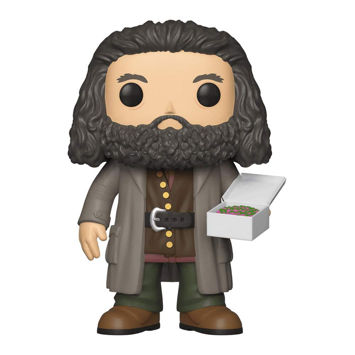 Funko 35508 Pop! Harry Potter: Hagrid with Cake 6", Standard, Multicolor