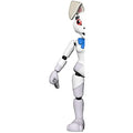 Funko Action Figure: Five Nights at Freddy's, Security Breach - Vanny