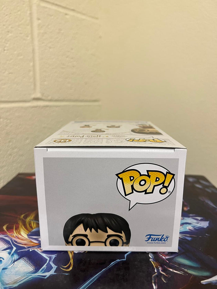 Funko POP! Harry Potter 20th Anniversary HARRY with The Stone #132 w/Protector