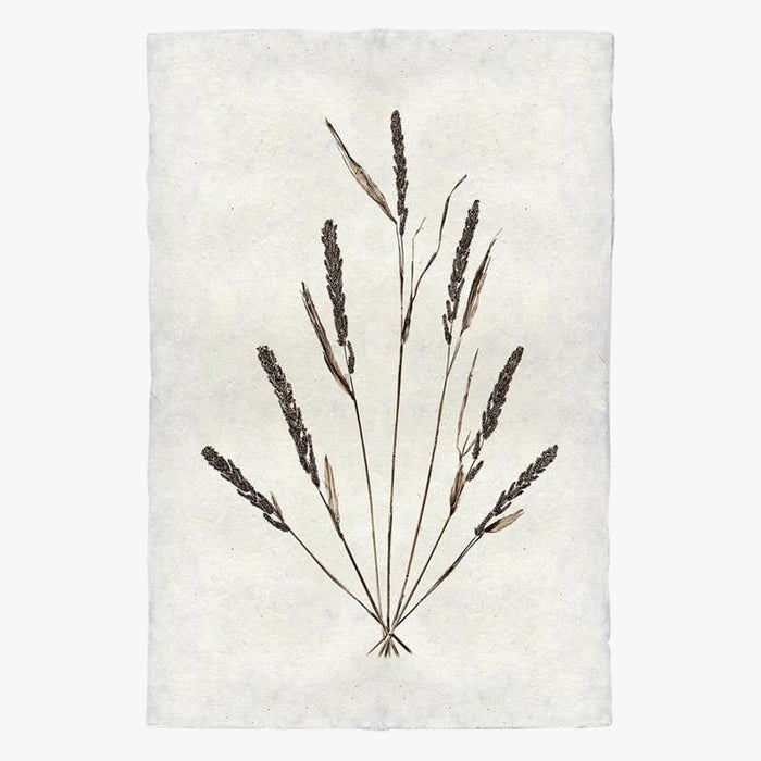 Grain Form Print