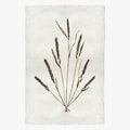 Grain Form Print