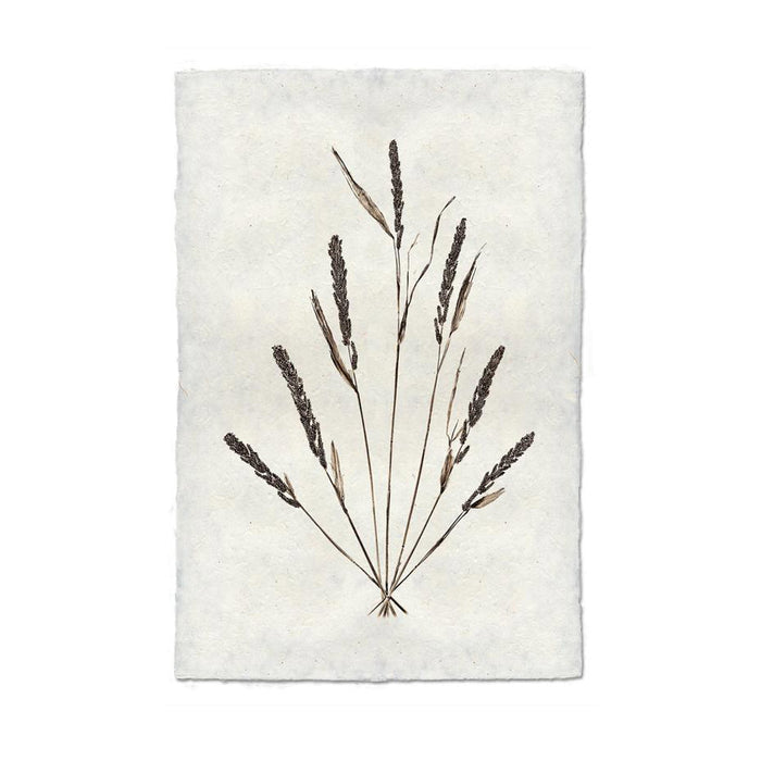 Grain Form Print