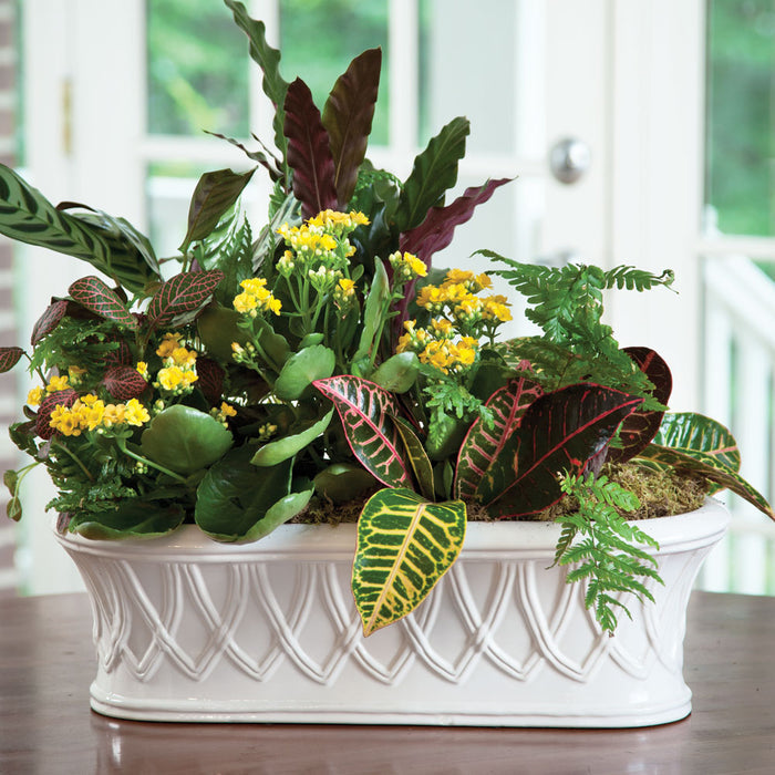 Hingham Cachepot with tropical plants