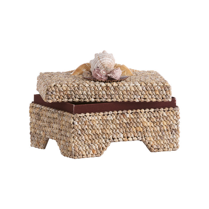 Island Mixed Shell Box - lid side view