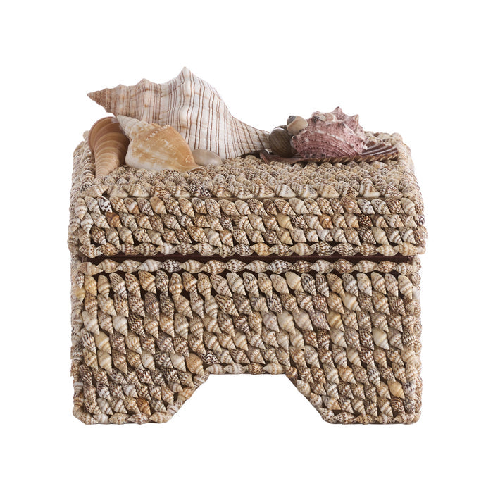 Island Mixed SeaShell Footed Box