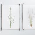 Leather and Steel Art Hangers