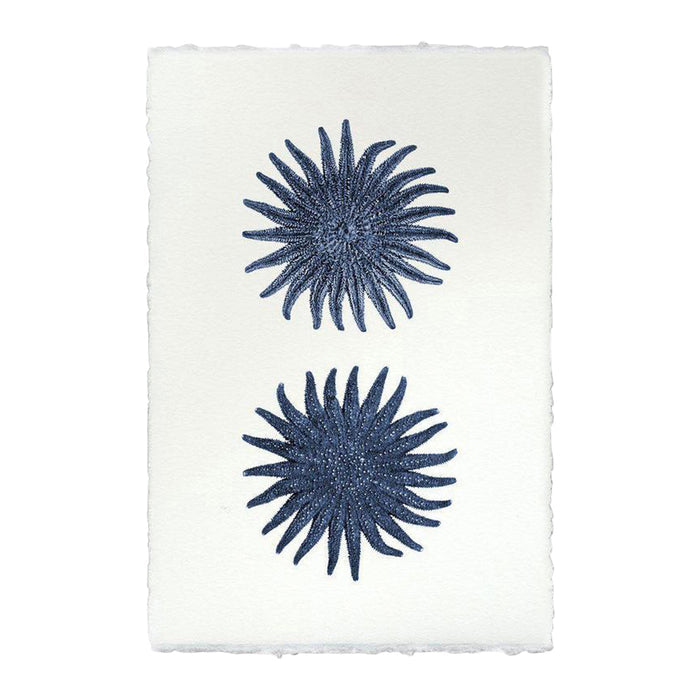 Legged Starfish Print From Dear Keaton