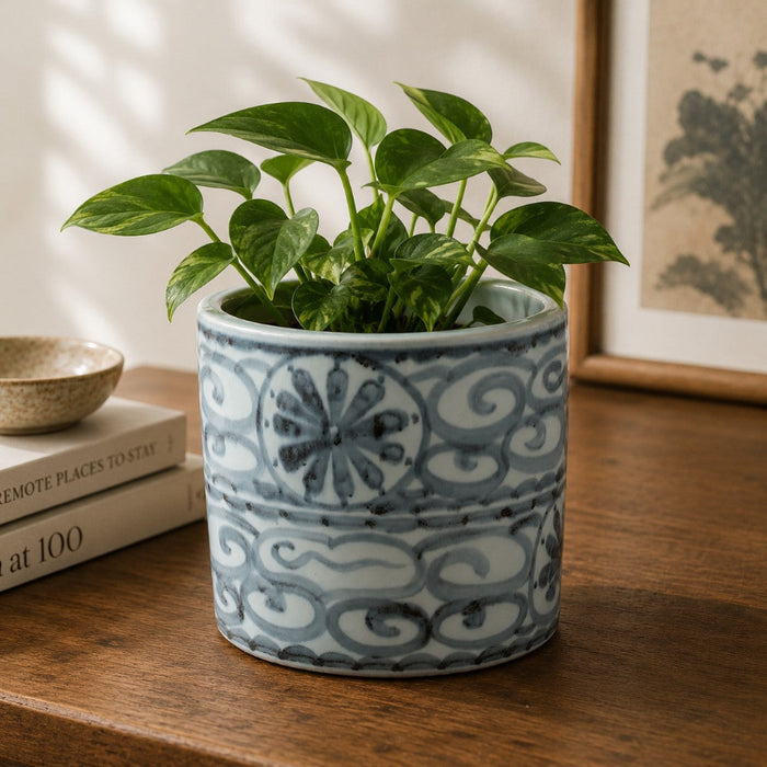 Lucky Cloud Cachepot styled with green plant