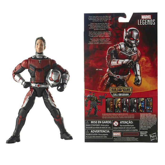 Marvel Ant-Man & The Wasp  Legends Series ANT-MAN  6" Action Figure