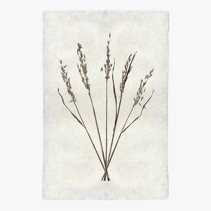 Oat Form Print