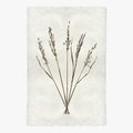Oat Form Print