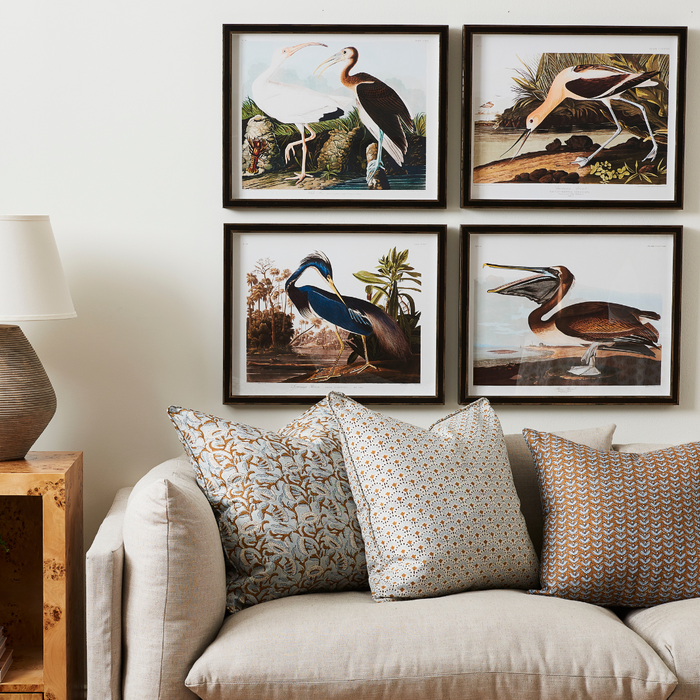 Vintage Inspired Bird Bookplate Prints Framed