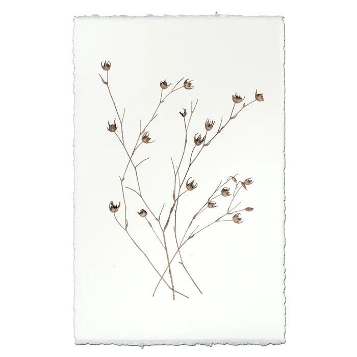 Petal Form Botanical Print on English Watercolor Paper