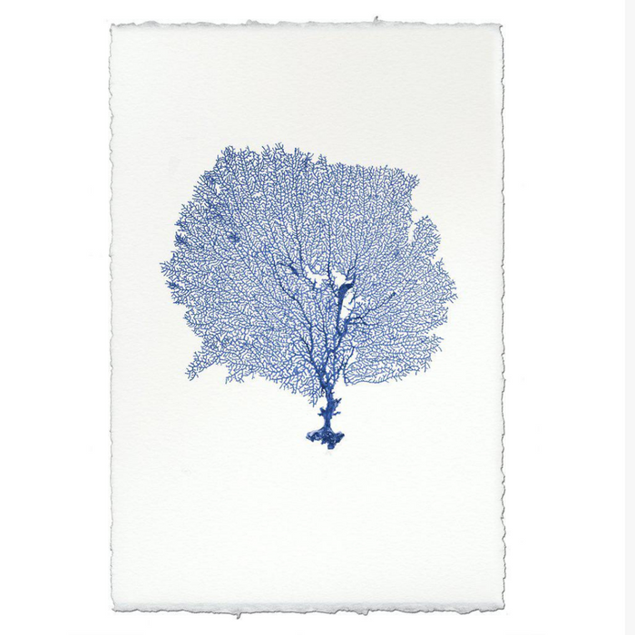 Round Sea Fan Print