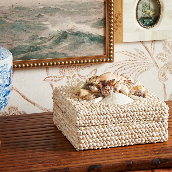 Sanibel Shell Box Set from Dear Keaton