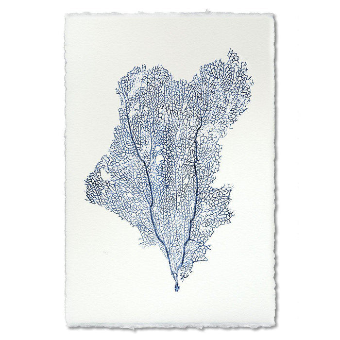 Bluetone Sea Fan 1 Print on English Watercolor Paper - Dear Keaton