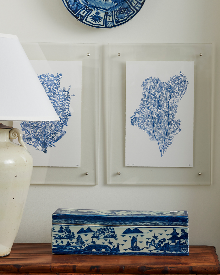 9x14 Sea Fan 1 Print in acrylic frame